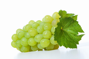 Obraz premium ブドウ