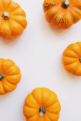 Small decorative pumpkins, top view.