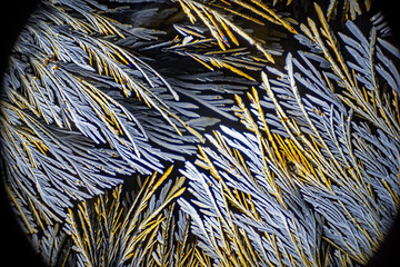 Ascorbic acid crystals, Vitamine C,  microscopy, crystals growing