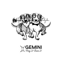 funny dogs zodiac signs