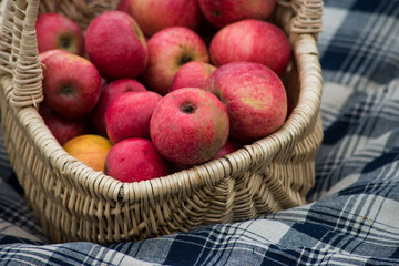 Closeup of organic red apple in a  wooden basket on blue napkin background