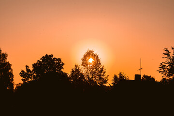 Location - Riga, Latvia. Shoot date - 10/04/2020. Picture off sunrise with trees.
