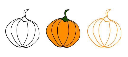 Pumpkin set illustration (line art). Perfect for your halloween/thanksgiving/organic natural design. Vector eps10, objects isolated on white background.