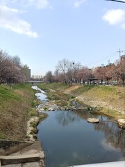 river in the countryside