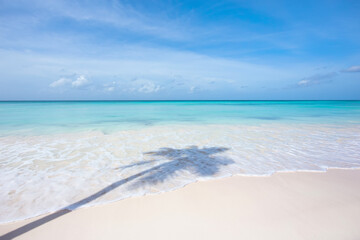 Fototapeta na wymiar Palm tree shadow on the white sand of a beautiful tropical beach. Turquoise water of the caribbean sea