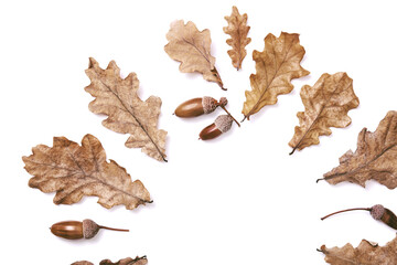Semicircle made from autumn dried leaves, oak leaves and acorns isolated on white background, flat...
