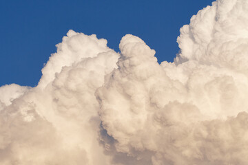 Cumulonimbuswolke Vorbote von einem Gewitter