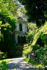 Obraz premium House in the green plants