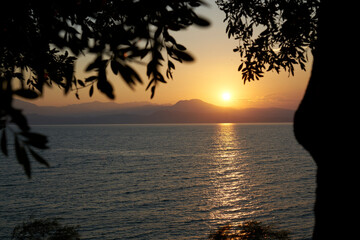 Olive trees in the foreground frame a deep calm sunrise over the lake, with the sun rising between the branches and leaves. The water of Lake Garda reflects the warm colors of the sun.