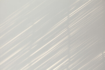 スダレの木漏れ日