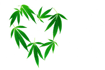 Cannabis leaves in the shape of a heart on a light white surface, top view, copy space.