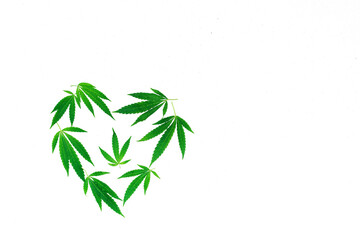 Cannabis leaves in the shape of a heart on a light white surface, top view, copy space.