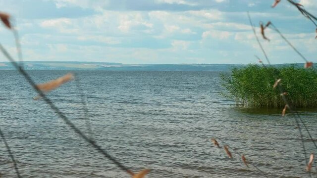 Flock of birds is flying over the water in river on sunny summer afternoon.