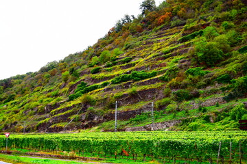 Herbst im Moseltal, Lehmen im Oktober