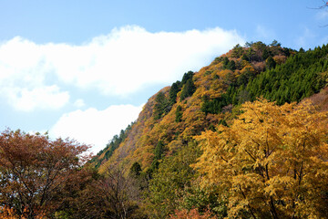秋色に染まる山
