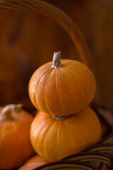 Autumn small orange pumpkin on a wooden table, the harvest, the symbol of Halloween