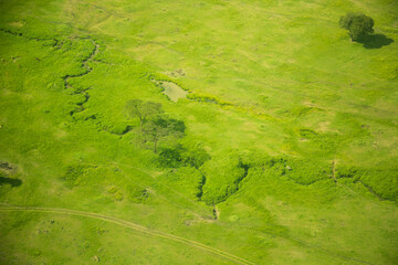 A aerial shot of the Kenya savannah, 118 miles east of Nairobi, Kenya, africa.