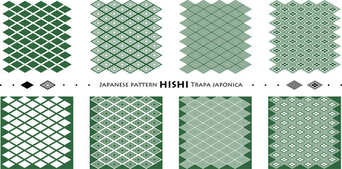 Japanese pattern HISHI Trapa japonica_seamless pattern_c06