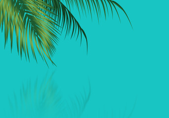 Fototapeta na wymiar palm tree on blue background