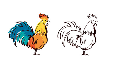 Hand drawn rooster sketch for logo