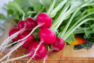bunch of radishes