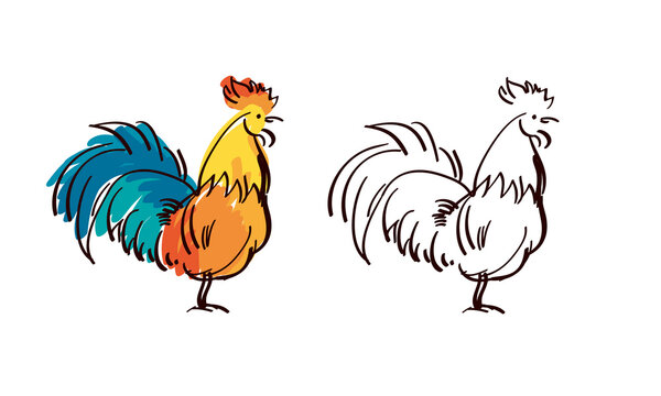 Hand drawn rooster sketch for logo