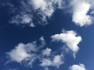 Fototapeta premium 空と雲の背景