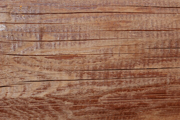 Texture of bark wood use as natural background.