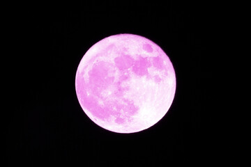 明るくて大きなピンクの満月