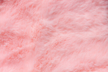 Pink fur texture top view. Coral fluffy fabric coat background. Winter fashion color trends...