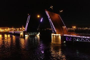 Obraz na płótnie Canvas Aerial Townscape of Saint Petersburg City at Night. Palace Bridge