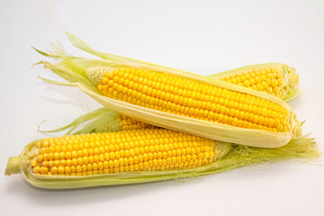 Fresh ripe golden sweet corn cobs on white background