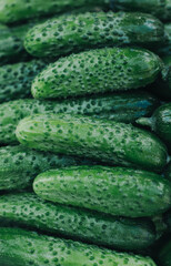 cucumbers on the table