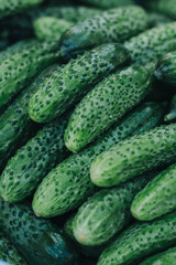 cucumbers in the market