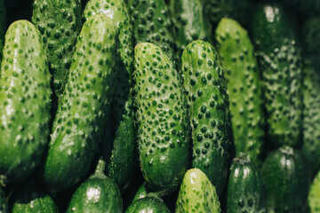 cucumbers in the market