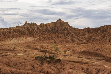 Fototapeta premium Tatacoa Dessert, Colombia.