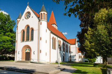 Fototapeta premium Kirche in Mochenwangen in Oberschwaben in Deutschland, auch genannt der Schussendom