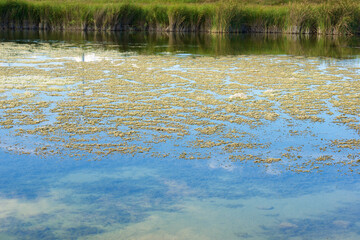 Lagoon in Spain