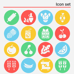 16 pack of ripe  filled web icons set