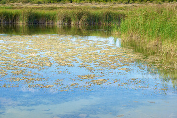 Lagoon in Spain