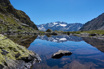 kleiner Bergsee Teich mit klarem blauem Wasser und grünen Pflanzen in den Bergen Alpen beim Wandern