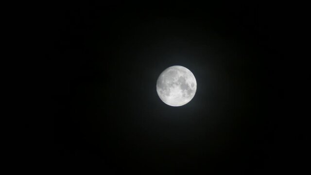 Moon at night in summer