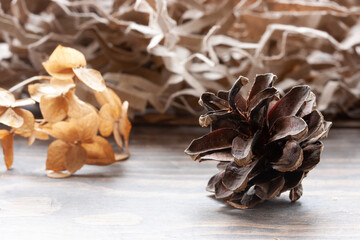 Brown pine cone on a background of dry hydrangea flowers