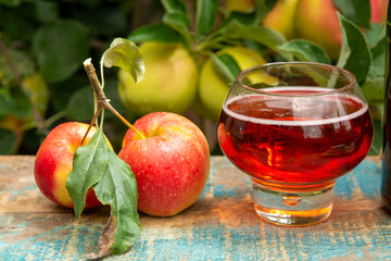 Glass of rose apple cider from Normandy, France and green apple tree with ripe red fruits on background
