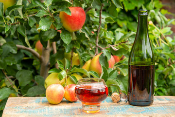 Glass of rose apple cider from Normandy, France and green apple tree with ripe red fruits on background