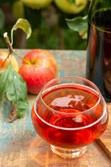 Glass of rose apple cider from Normandy, France and green apple tree with ripe red fruits on background