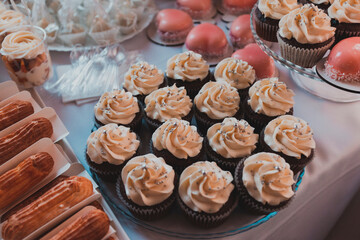 Obraz na płótnie Canvas Wedding Candy Bar: Cupcakes, Eclairs, Panna Cotta and Wedding Cake