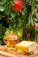 Taste of France, glass of apple cider from Normandy and comte cheese and green apple tree with ripe red fruits on background