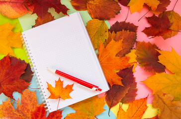 Naklejka na ściany i meble notebook on the autumn table