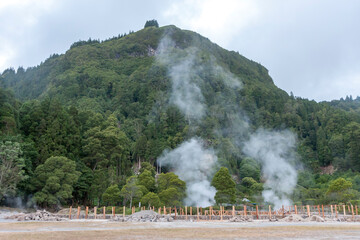 Landscape with views of geysers and fumaroles emitting smoke near a high mountain, park Furnas - Sao Miguel
